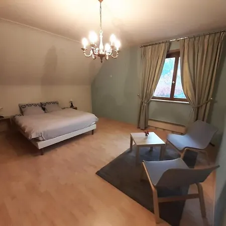 Grand Au Coeur De La Vallee Noble, Entre Colmar Et Mulhouse Apartment *